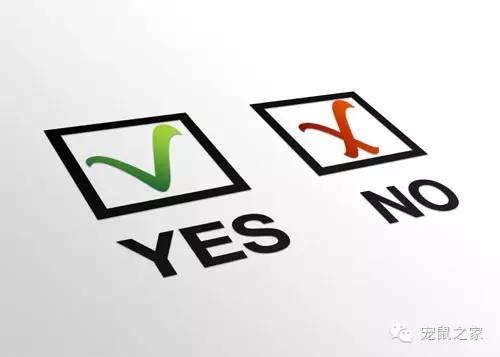 合适学生养的1元宠物,双鱼座合适养什么宠物