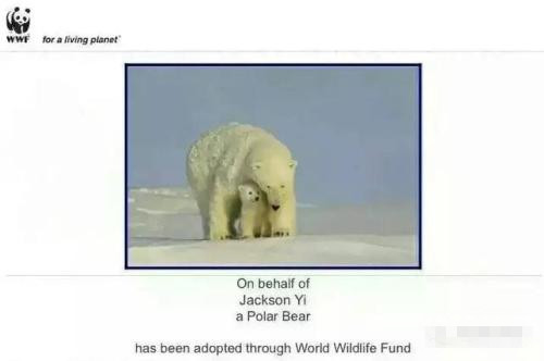 女粉丝送华晨宇兰博基尼,粉丝送华晨宇生日礼物排第几