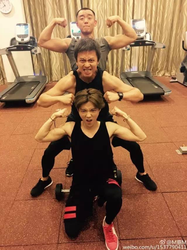 我觉得鹿晗真的是颜值下滑了,鹿晗长得不帅