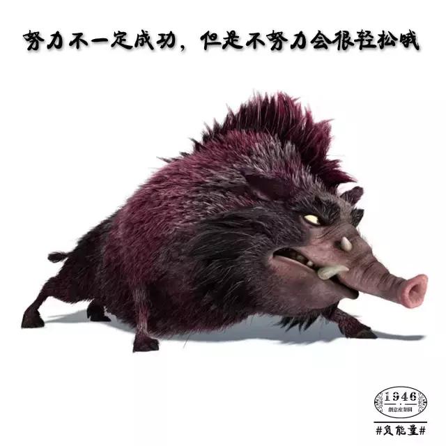 迷茫的时候静静下心来好好学习,哪些话能够让人摆脱负能量和迷茫