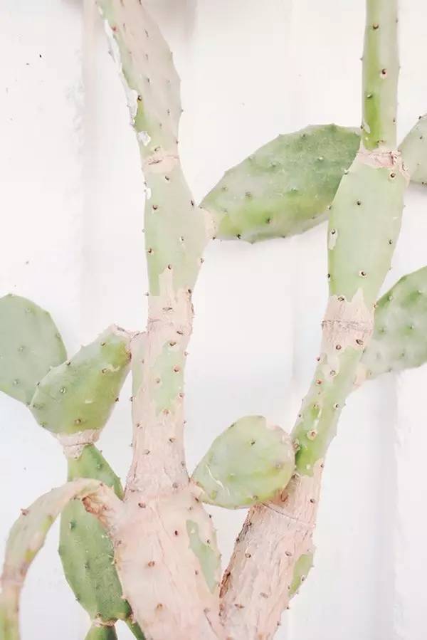 一个经常爆粗的女人能幸福吗,喜欢爆粗口的女生怎么样