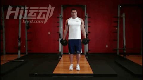 哑铃天天练还是隔天练增肌效果好,哑铃全身增肌锻炼最全完全版