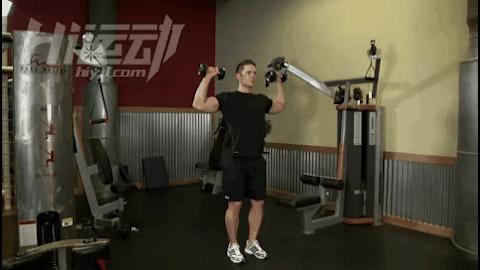 哑铃天天练还是隔天练增肌效果好,哑铃全身增肌锻炼最全完全版