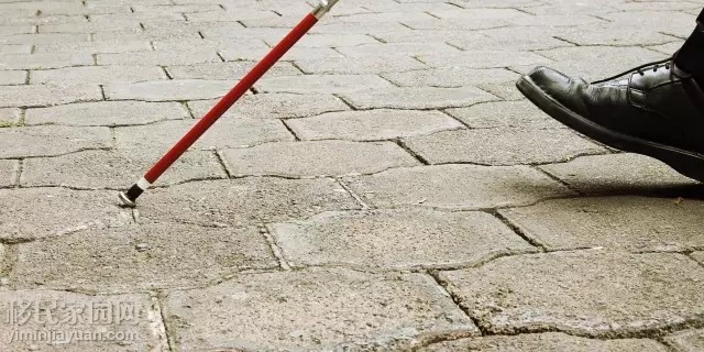 人工眼角膜最新研究进展,澳洲科学家