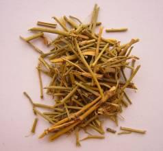 中医怎么治疗湿疹有小妙招,中医治湿疹最快最有效的方法