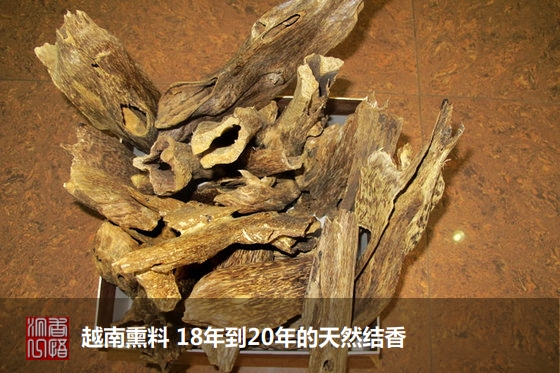 沉香初学者,沉香入门料