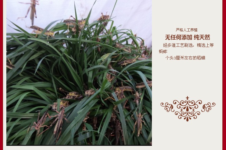 某宝上的那些奇葩商品,某宝买到恶劣产品怎么办