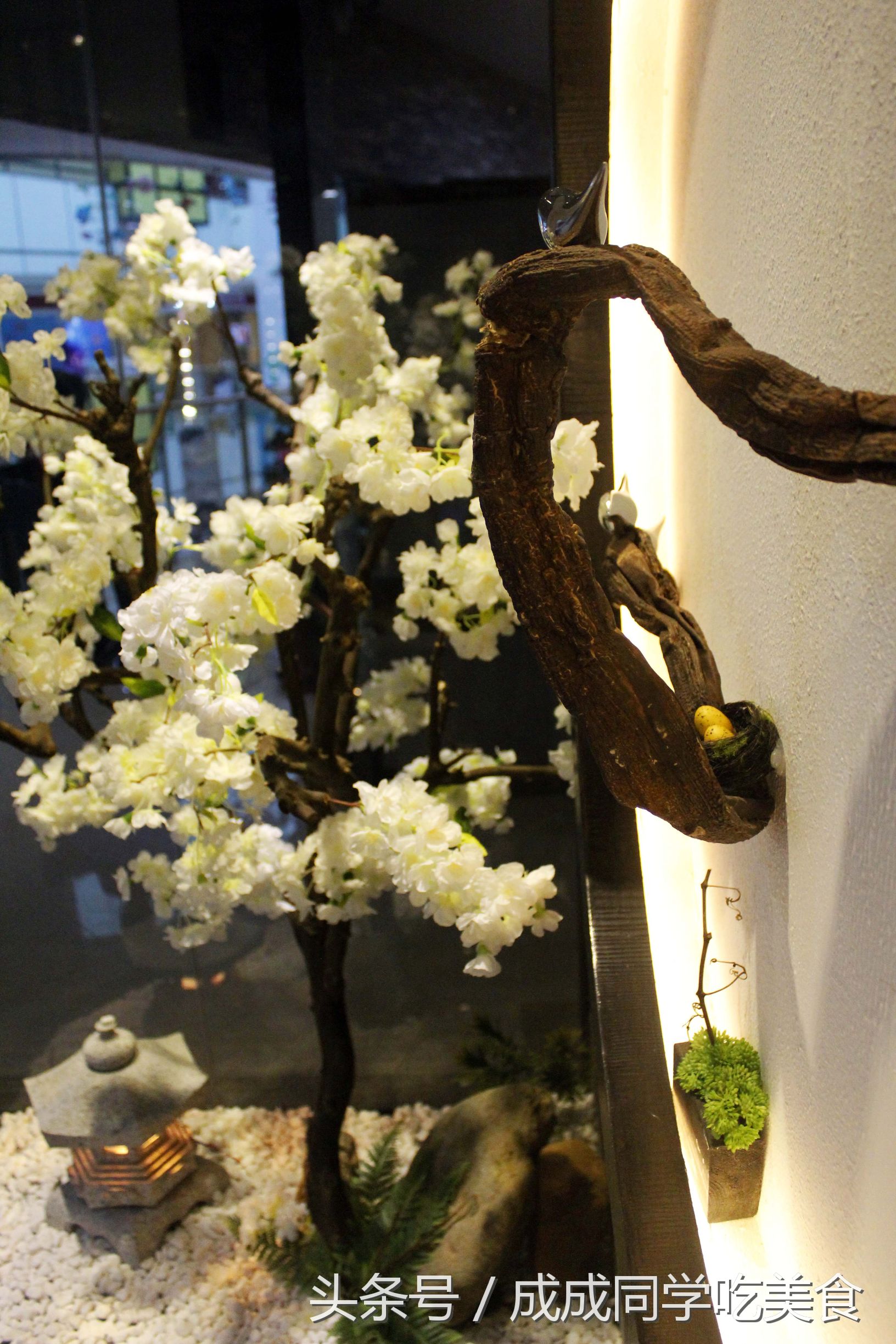 日料美食店推荐,地道日料店推荐