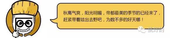 家庭郊游必备神器,外出郊游的必备神器推荐