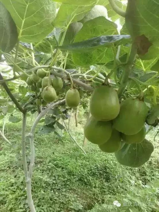 为了大山里的孩子上学,为了山里的孩子读书