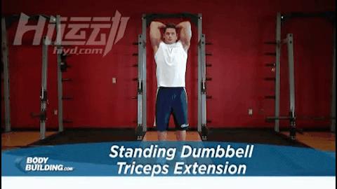 哑铃天天练还是隔天练增肌效果好,哑铃全身增肌锻炼最全完全版