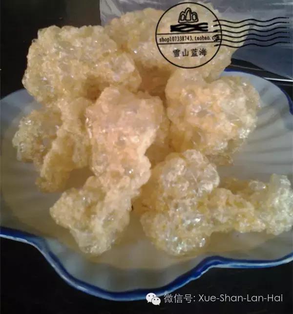 驴胶知识全在这儿了