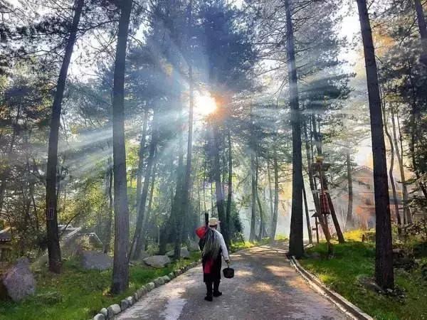 黑水彩林秘境,阿坝藏族羌族自治州黑水彩林