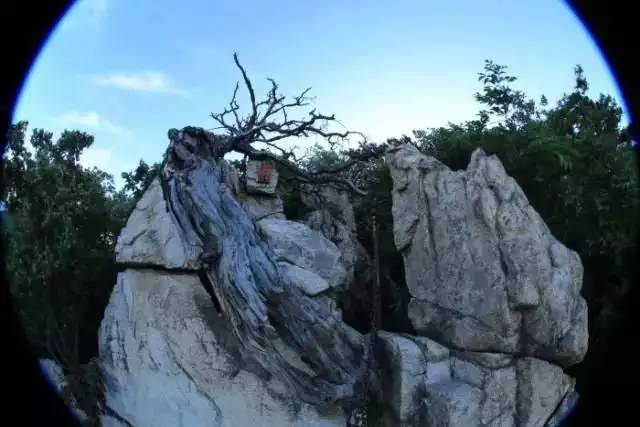 旅游盘点辽宁四大古迹,辽宁这小县城藏着三个国宝级古迹