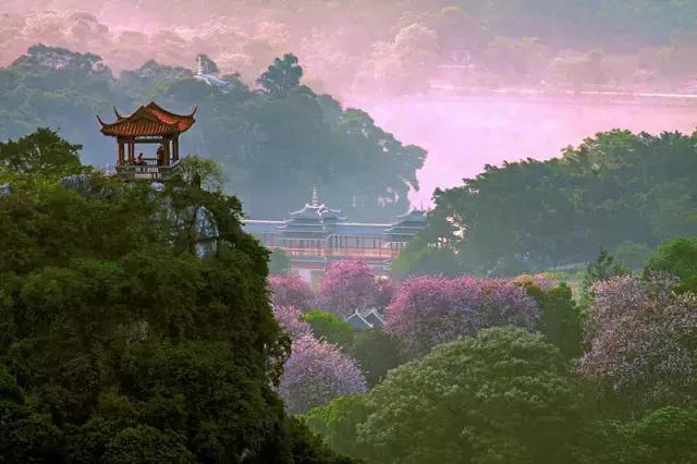 柳州哪个公园有足球场,柳州新建紫荆花公园