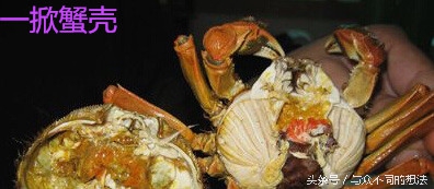 公螃蟹或者母螃蟹要怎么挑选,怎么挑公螃蟹和母螃蟹