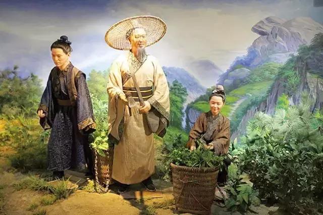 罗浮山百草油文化长廊讲解,罗浮山的百草油文化长廊