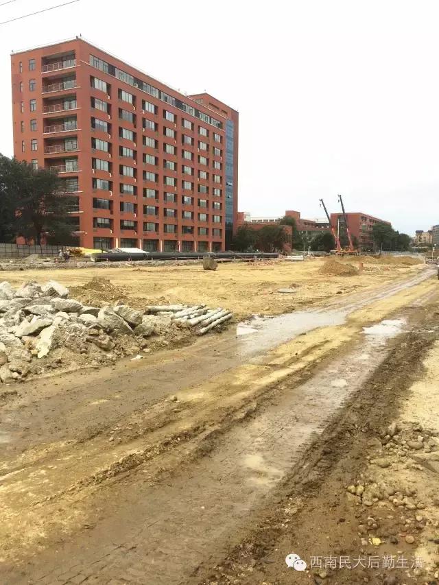 西南民族大学航空港校区官网,西南民族大学西航港校区