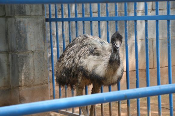 湘潭和平公园动物园星期天开放吗,湘潭市动物园的近况