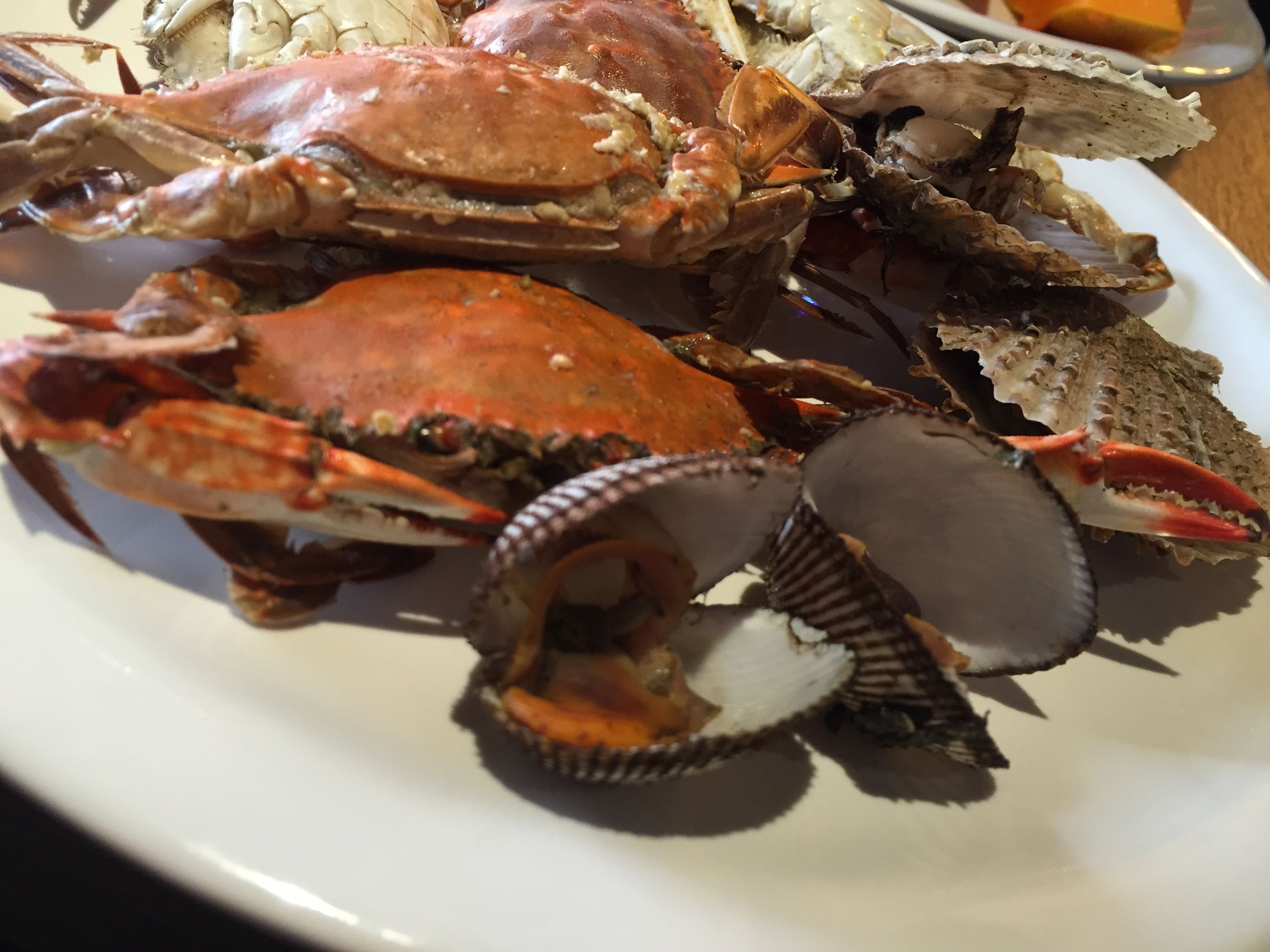 在21世纪以来最冷的一月份，足吃18年后变身逆天的好伦哥