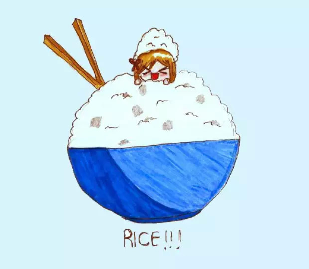 准备去日本抢电饭煲，8个候选明星锅，快帮着挑一挑