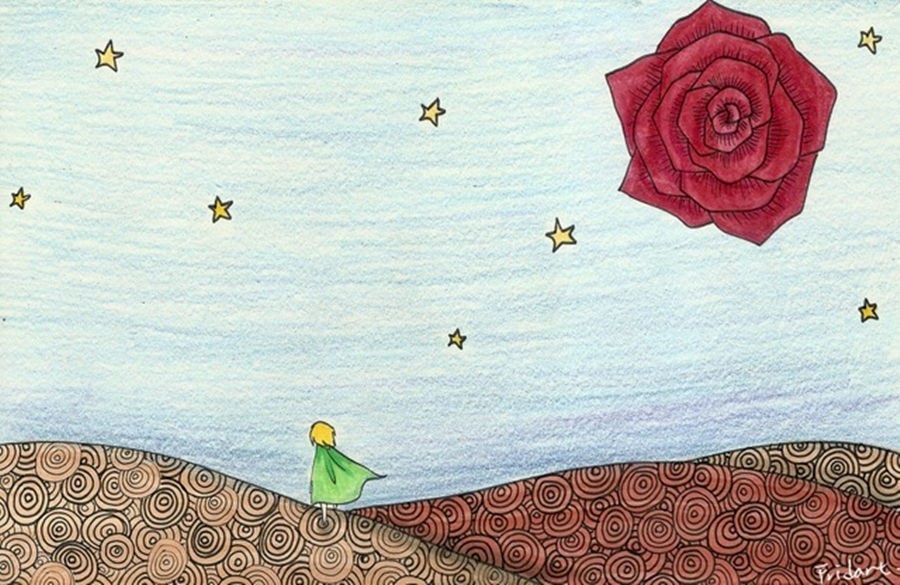 遇见最纯真的你—来自星星的孩子，自闭症儿童成长日记