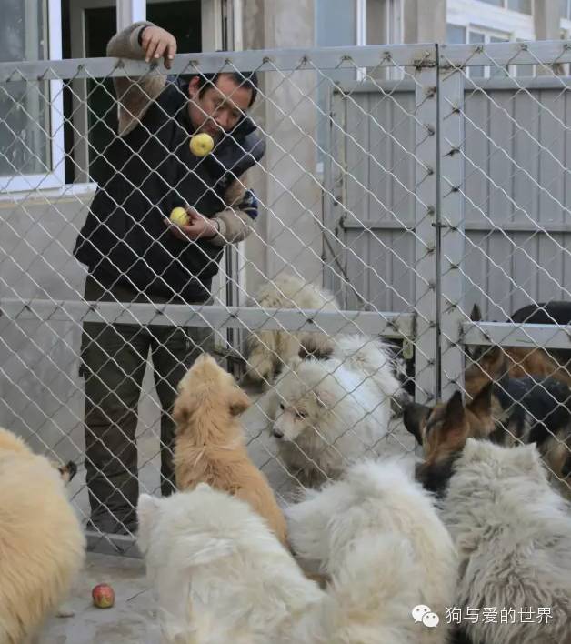 他们是最可爱的人文章700字 (他们是最可爱的人英语)