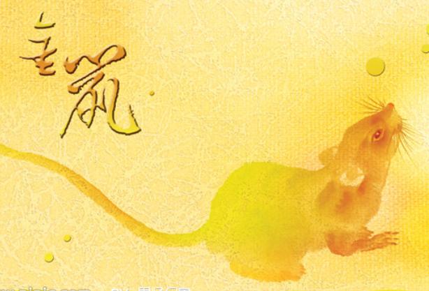 各个属相的财运在哪一年,解读十二生肖财运图解大全