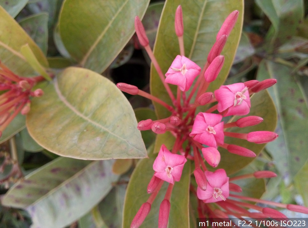 魅族魅蓝metal的屏幕怎么样,魅族魅蓝metal2是全网通