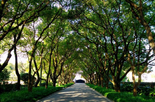 探索上海,上海西郊宾馆地址