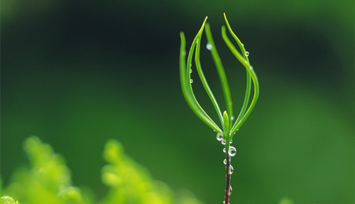 埋怨校长？跟语文特级教师一起走进“六有”的理想