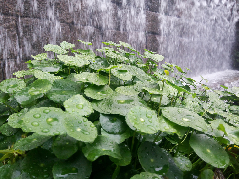 小米魅族手机续航,魅族长续航最值得入手的手机