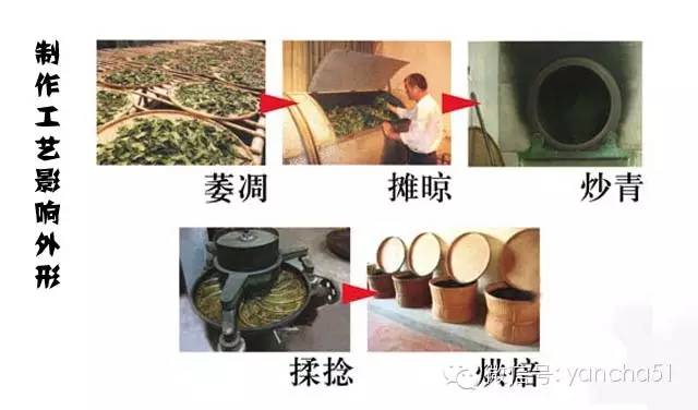 为何说大红袍是“乞丐的外表，皇帝的身价，菩萨的心肠”？