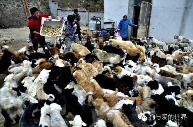 他们是最可爱的人文章700字 (他们是最可爱的人英语)