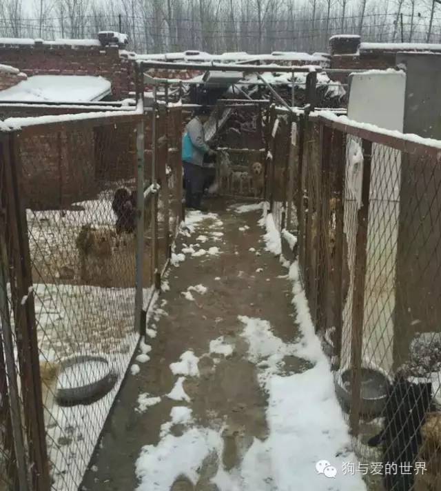 他们是最可爱的人文章700字 (他们是最可爱的人英语)