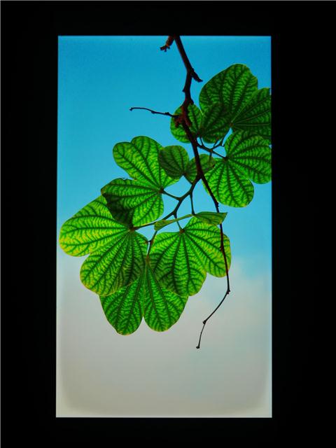 360极客版下载,360极客版所有版本