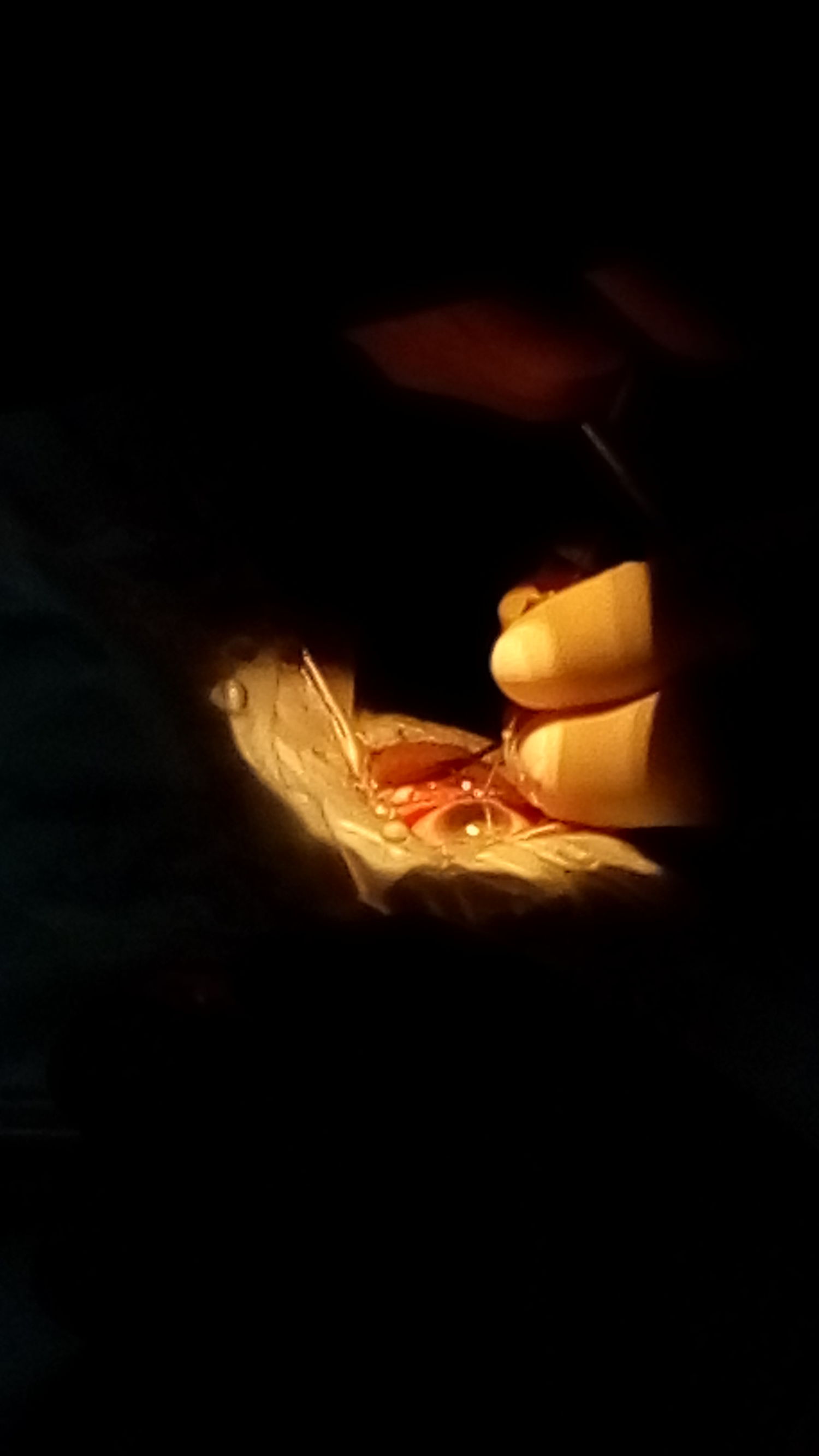 摄影大赛感动典藏,摄影大赛如沐春风