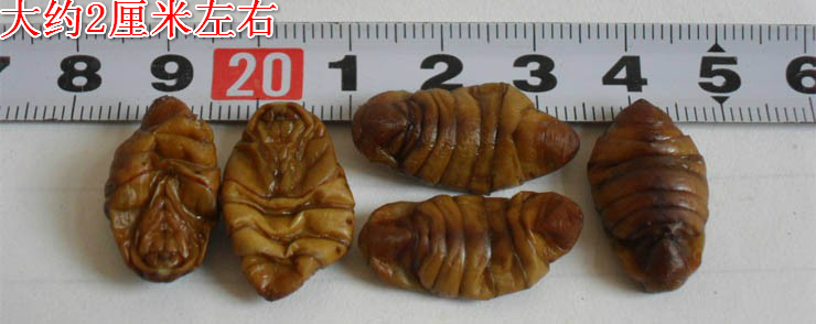 某宝上的那些奇葩商品,某宝买到恶劣产品怎么办