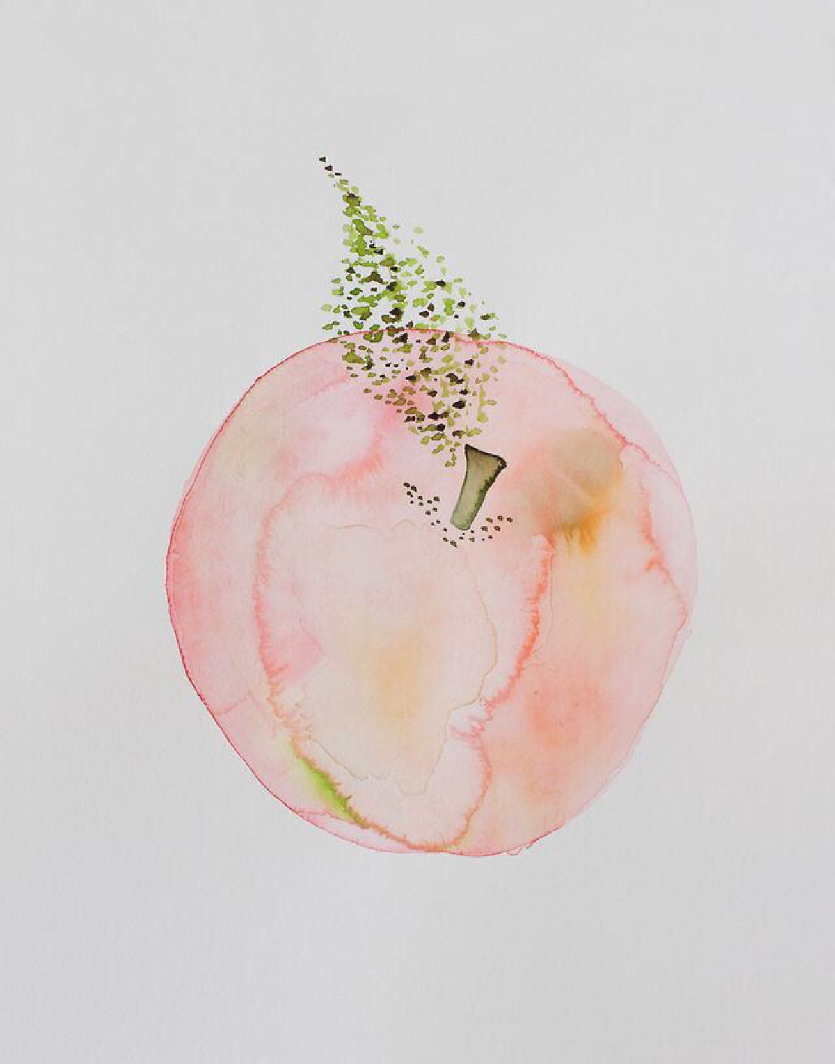 像桃子一样的梨,像桃子一样的植物