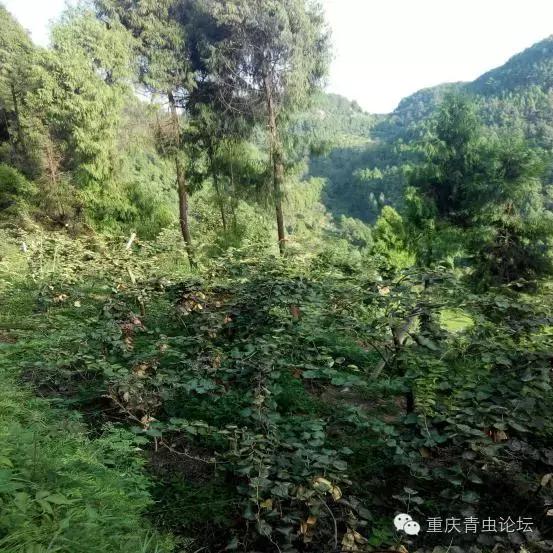 为了大山里的孩子上学,为了山里的孩子读书