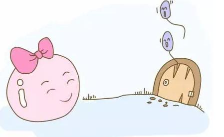 试管婴儿告捷率大揭秘,试管婴儿流程大揭秘