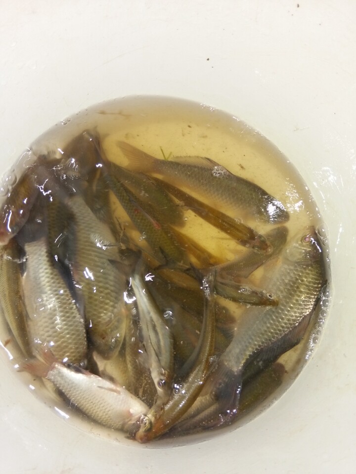 閽撶殑鐢查奔杩樿兘娲诲悧,閽撲笂鏉ョ殑鐢查奔鏈夊繉璁冲悧