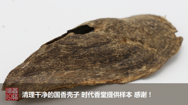 沉香初学者,沉香入门料