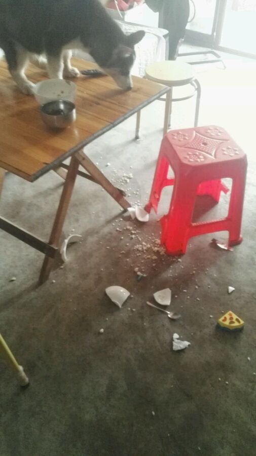 男孩在玩游戏时突然暴怒,男孩玩游戏大喊大叫家人没法睡觉