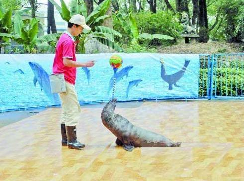 湘潭和平公园动物园星期天开放吗,湘潭市动物园的近况