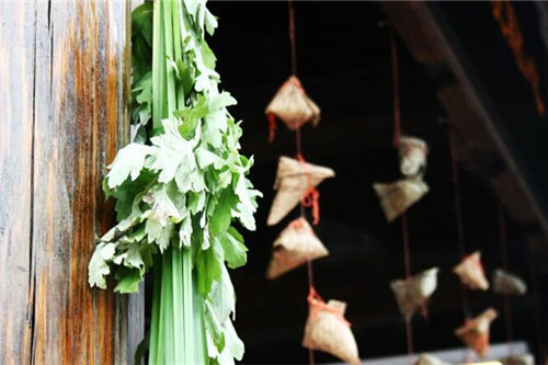 艾蒿水的功效与副功能,艾蒿水的功效和禁忌