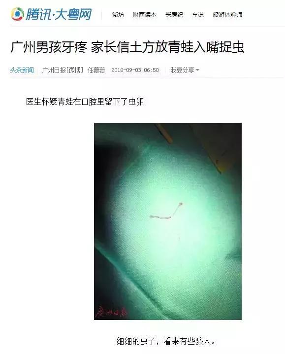 青蛙放嘴中捉“虫”育儿“土方”真的有效吗？