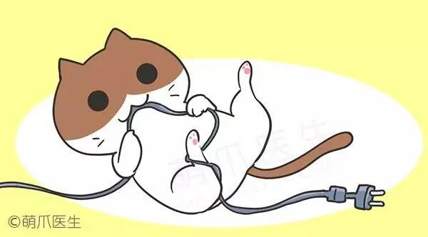 怎么防止猫咬细的电线,怎样从猫上接出网线