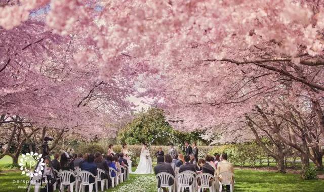 魔戒多少钱一套啊,一套魔戒多少钱