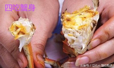 公螃蟹或者母螃蟹要怎么挑选,怎么挑公螃蟹和母螃蟹